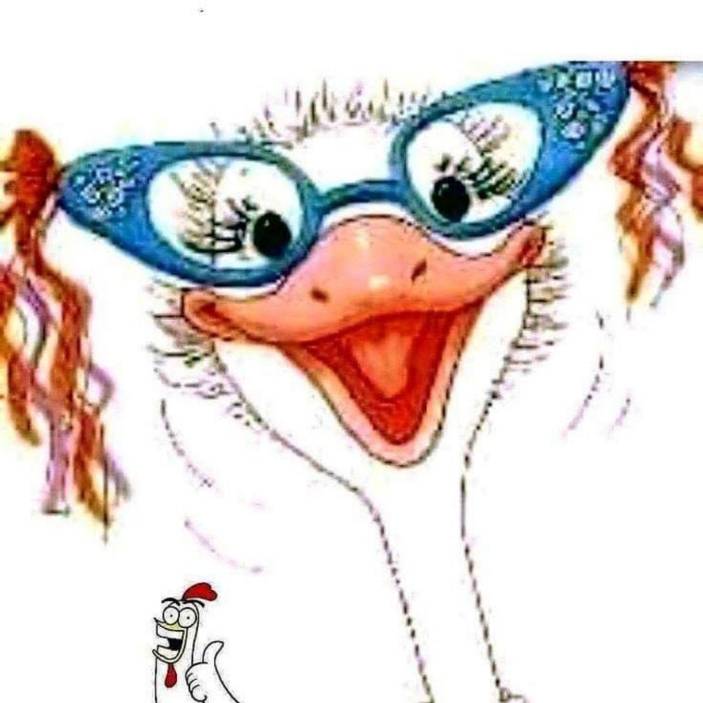 Meet your Posher, Teresa